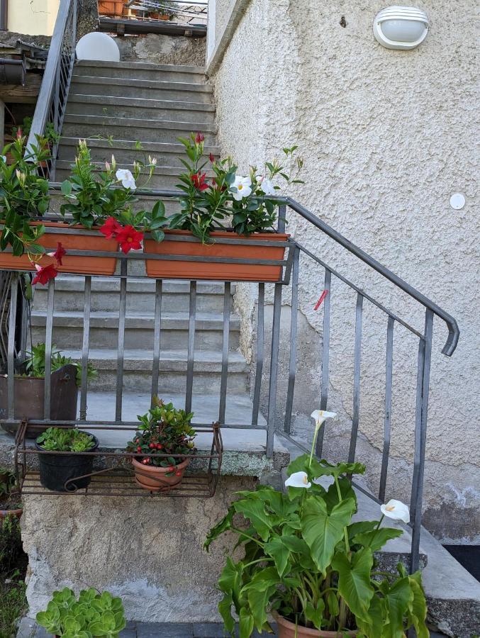 La Finestra Sul Brenta Apartment Lasino Exterior photo